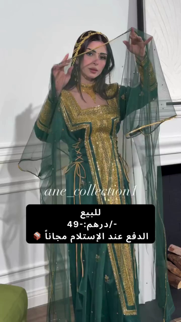 Royal Modern Dubai Moroccan Party Wear Aaree Work Design Jalabiya Jacket Dress